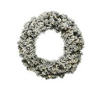EVERLANDS Wreath Imperial Pre-Lit Snowy 35 cm