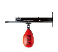 Everlast Speed Bag Kit 53