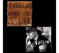 Everlast – What It's Like/Ends – 7" Vinyl