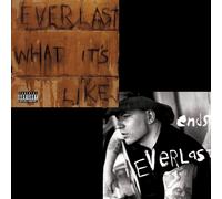 Everlast – What It's Like/Ends – 7" Vinyl