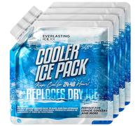 Everlasting Ice RX Reusable Ice Packs for Cooler (4 Pack) Up to 48 Hours Freezer Packs for Coolers and Lunch Boxes | 10 x 10 in | Cooler Ice Packs for Camping, Fishing, Beach, Road Trips