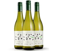 Everlight Chenin Blanc White Wine (Case of 3) 53 kcal per 100ml, South Africa, Dry 8% ABV
