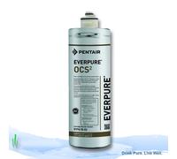 Everpure OCS2 Water Filter Cartridge EV9618-07