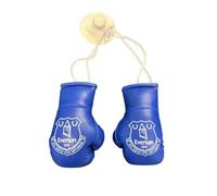 Everton FC Car Hanging Boxing Gloves