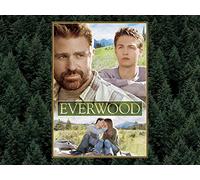 Everwood: The Complete Second Season
