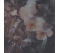 Every Hidden Colour - Luz [VINYL]