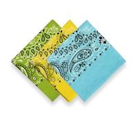 EVERY-VILLE Where EVERYone is Welcome 3 Pack Green Yellow Blue Bandana for Women Men Gift Packaging - Cowgirl Cowboy Accessories Scarf Headband Neckerchief - Paisley Hair Face Covering