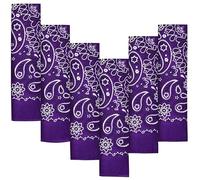 EVERY-VILLE Where EVERYone is Welcome 6 Pack Purple Cotton Bandana for Women Men Gift Packaging - 55x55cm, Paisley - Cowgirl Cowboy Motorbike Accessories Head Scarf Headband Neckerchief