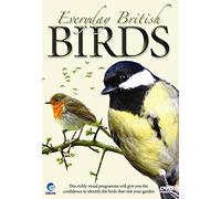Everyday British Birds [DVD] - Identify Birds in your Garden