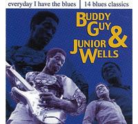 Everyday I Have the Blues