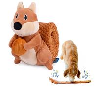 everyday joy Dog Toy with Squeaky, Soft Plush Chew Toy for Small Medium Dogs, Interactive Playtime Buddy with Crinkly Sound, Squirrel