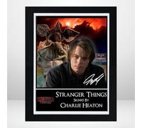 Everything But That Stranger Things Jonathan Byers/Charlie Heaton Version 1 Signed Mounted Photo Print Display 10 x 12