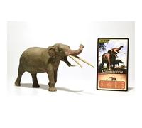 Everything Dinosaur Eofauna Konobelodon atticus