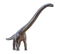 Everything Dinosaur PNSO Er-ma the Mamenchisaurus (2021)