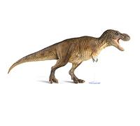 Everything Dinosaur Rebor GNG02 1:35 scale SA T. rex Type A
