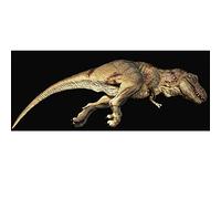 Everything Dinosaur Rebor T. rex Carcass Bites the Dust Plain