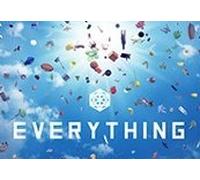 Everything EU PC Steam CD Key