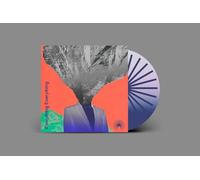 Mountainhead by Everything Everything (CD 2024)