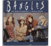 Everything I wanted (3")