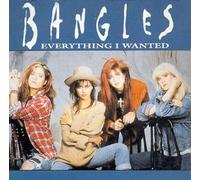 Everything I wanted [Single-CD]