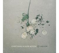 Everything In Slow Motion - Laid Low