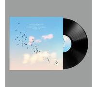 Everything Is Going To Be Ok [VINYL]