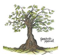 Everything is Working Out Fine in Some Town + No Confort Single