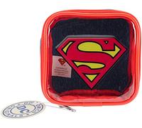 Everything Mary DC0154 DC Comics Square Zipper Pouch, Multi-Colour, 4.25 x 1.5 x 4.25-Inch