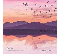 Everything Moves Nothing Rests [VINYL]