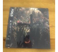 Everything Not Saved Will Be Lost Part 2 [VINYL], Foals, New