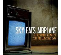 Everything Perfect On The Wrong Day [VINYL]