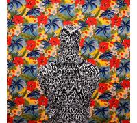 Everything S a Thread by John Steel (2013-10-21)
