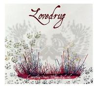 Everything Starts Where It Ends (2CD Set)