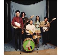 EVERYTHING YOU ALWAYS WANTED TO KNOW ABOUT SEA LIONS BUT WERE AFRAID TO ASK