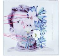 Everything's the same but in a different place By Ring of Truth (2009-06-15)