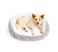 EveryYay by Petco Lavender Orthopedic Dog Bed, 20" L X 17" W