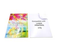 EVG Evergreen Goods 20 Sheets A4 Holographic Silver Vinyl Self Adhesive Sticky Back, Lines Pattern, Inkjet and Laser Printable