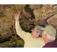 Evidence of the Catastrophic Past : Pocket Wilderness