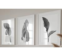 Eviepops Prints Grey Exotic Tropical Leaves Wall Art Set of 3 Unframed Prints, Botanical Plant Leaf Decor, Living Room Bedroom Bathroom Office Poster Home Decor, Photographic Print (A4)