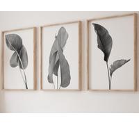 Eviepops Prints Grey Exotic Tropical Leaves Wall Art Set of 3 Unframed Prints, Botanical Plant Leaf Decor, Living Room Bedroom Bathroom Office Poster Home Decor, Photographic Print (A2)