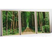 Eviepops Prints Woodland Forest Set of 3 Unframed Prints, Panoramic View of Woodland Path with Tall Trees, Tranquil Nature Landscape Wall Art, Modern Home Decor for Lounge, Bedroom and Office (A3)