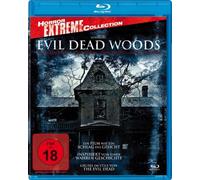 Evil Dead Woods