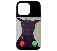 Evil Larry Cat Case for iPhone 14 Pro Max