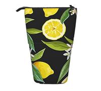 EVIUS Citrus Fruit Pattern Printed Pencil Case Cute, Stand Pencil Cases Holder, Pencil Case Telescopic with Zipe Pencil Case, Funny Pencil Case for Kids, Portable Standing Pen Holder