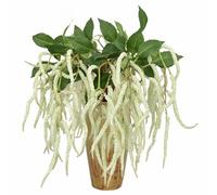 Evlasumflow 22" Artificial Amaranthus 3pcs Faux Lover Tears Fake Green Plant Greenery for Floral Arrangement Vase Bouquets Home Office Wedding Decor.(White)