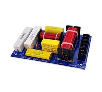Evliery 1 PCS 350W 2-Way 3200Hz High and Low Frequency Divider Divider Hifi High Fidelity Crossover Filter