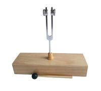 Evliery 256HZ Tuning Fork Tuning Fork for Sound Therapy, Yoga, Meditation and Relaxation