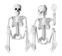 Evliery 2Pcs Skeleton Halloween Decoration, 16 Inch Full Body Posable Halloween Hanging Skeleton for Indoor Decoration