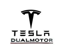 EVMIZE Metal Raised T Logo Tesla Letters Dual Motor Emblem Decal Sticker Matte Black with 3M Adhesive for Tesla Model 3 Model Y Highland Juniper (Tesla Letters & T Logo & Dual Motor)