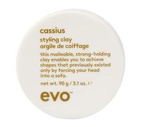 Evo Cassius Strong Hold Styling Clay for Thick/All Hair Types - Strong Hold, Matte Hair Styling & Texture, 90g